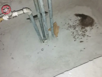 江孜卫生间测漏水价格明细