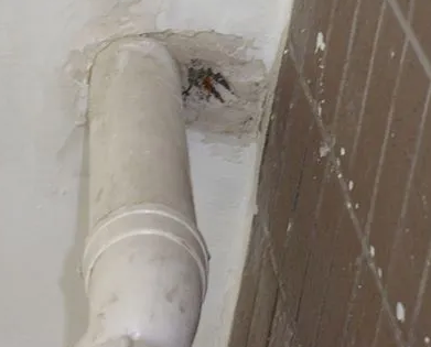 江孜漏水检测哪家好